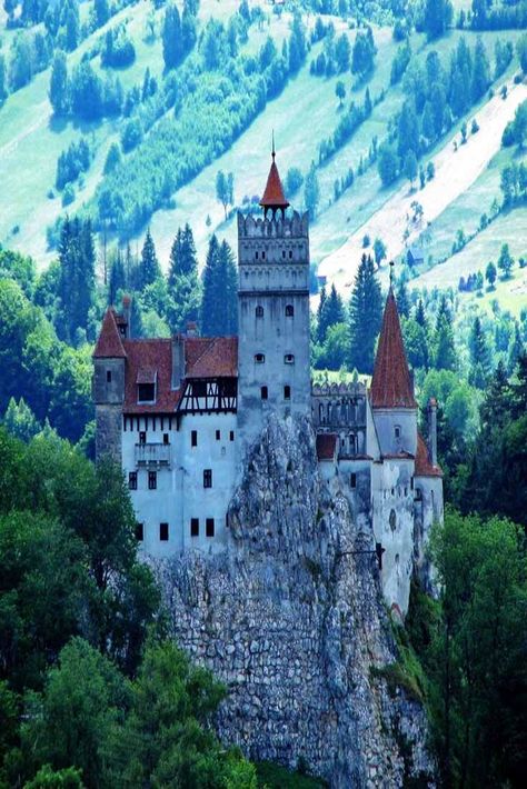 Bran Castle Tattoo, Draculas Castle Romania, Bran Castle Romania, Castle Dracula, Dracula's Castle, Bran Castle, Private Museum, Dracula Castle, Visit Romania