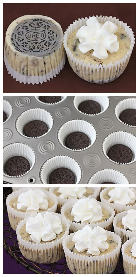 Oreo Cookie Mini Cheesecakes | gimmesomeoven.com #dessert Mini Oreo Cheesecake, Oreo Desserts, Brownie Bars, Diy Dessert, Fest Mad, Dessert Oreo, Cookies Cream, Stroopwafel, Oreo Recipes