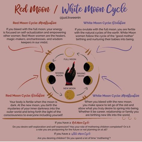 Moon Cycle Period Ritual, Red Moon White Moon Cycle, Moon And Femininity, Women Moon Cycle, Menstruating On A Full Moon, Moon And Period Cycles, Period During New Moon, Menstration Magick, New Moon Cycle