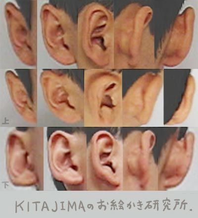 Ear Anatomy, How To Draw Ears, Head Anatomy, Face Anatomy, Desen Realist, 얼굴 드로잉, 얼굴 그리기, Face Drawing Reference, Human Figure Drawing