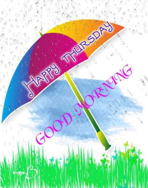 Happy Rainy Thursday Morning, Rainy Thursday Mornings, Happy Rainy Thursday, Rainy Morning Quotes, Rainy Thursday, Rainy Morning, Morning Wishes Quotes, Thursday Morning, Wish Quotes