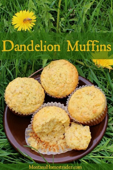 Dandelion Muffin Recipes, Dandelion Leaves Recipe, Dandelions Recipe, Dandelion Cupcakes, Dandelion Food, Dandelion Muffins, Cup4cup Recipes, Litha Recipes, Resep Muffin