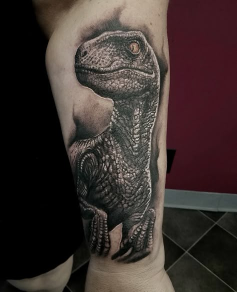 Raptor Skull Tattoo, Raptor Dinosaur Tattoo, Rebirth Tattoos, Raptor Tattoo, Velociraptor Tattoo, Dino Tattoos, Rebirth Tattoo, Dino Tattoo, Jungle Tattoo