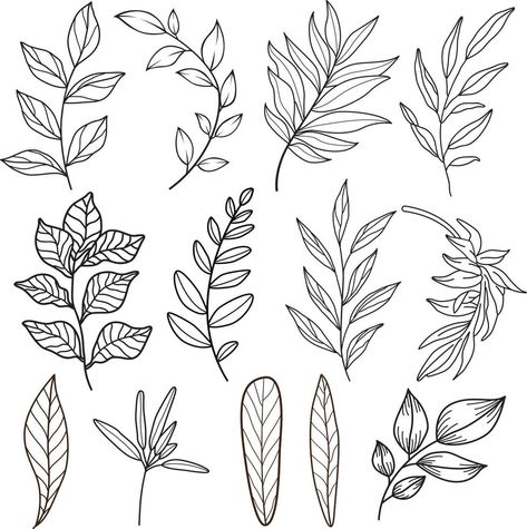 Foliage Drawing, Doodle Flowers, Drawing Vector, Leaf Drawing, Floral Drawing, Leaves Design, Hand Drawn Flowers, Flower Doodles, Design Drawing