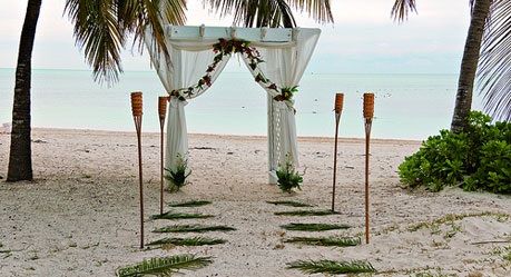 Cheap Destination Wedding, Best Places To Elope, All Inclusive Wedding Packages, Grand Bahama, Bahamas Travel, All Inclusive Wedding, Places To Elope, Cheap Vacation, Elopement Packages