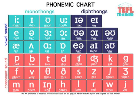 Phonemic Chart and IPA – Your English Hub English Phonetic Alphabet, Ipa Chart, Ipa Phonetics, Phonetic Chart, English Phonetics, International Phonetic Alphabet, Teacher Data, Pronunciation English, Speech Therapy Tools