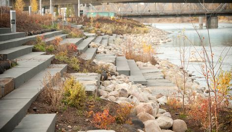 Landscape Stairs, Water Architecture, Architecture Sketchbook, River Bank, Rain Garden, Lake Landscape, Soil Improvement, River Walk, Green Roof