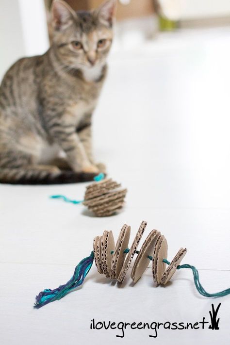 Diy Yarn Cat Toys, Cats Toys Diy, Diy Cats Ideas, Kitten Toys Diy, Diy Kitten Toys, Toys For Cats Diy, Cat Toy Diy, Make Cat Toys, Diy Cat Toys Easy