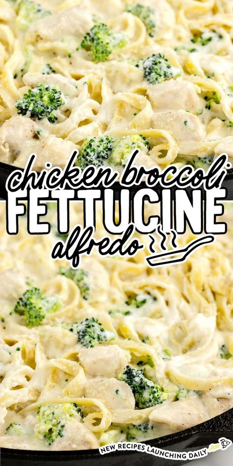 Chicken Broccoli Alfredo Cast Iron Chicken Alfredo, Best Chicken Broccoli Alfredo, Chicken Alfredo Recipe With Broccoli, Chicken Alrefredo Recipe, Chicken Broccoli Fettucini Alfredo, Fettichini Alfredo Recipe With Chicken, Fettechini Alfredo, Chicken Alrefredo, Fettuccini Alfredo Recipe