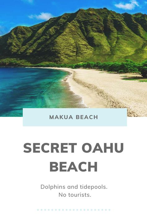 Makua Beach, Waikiki Hawaii Beach, Schools Of Fish, Hawaii Trip Planning, Hawaii Vacation Tips, Things To Do In Oahu, Hawaii Itinerary, Oahu Beaches, Oahu Vacation