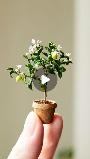 Miniature Plants Diy, Miniature Crafts Diy, Mini Lemon Tree, Mini Plants Diy, Miniature Garden Diy, Clay Plants, Diy Garden Fountains, Dollhouse Tutorials, Miniature Flowers