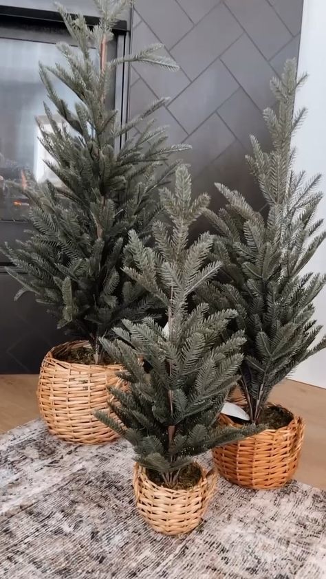 Christmas Trees In A Basket, Small Fake Christmas Trees, Small Christmas Tree In Basket, Christmas Trees In Baskets, Tree In Basket, Christmas Tree In Basket, Fake Christmas Trees, Small Christmas Tree, Small Christmas Trees