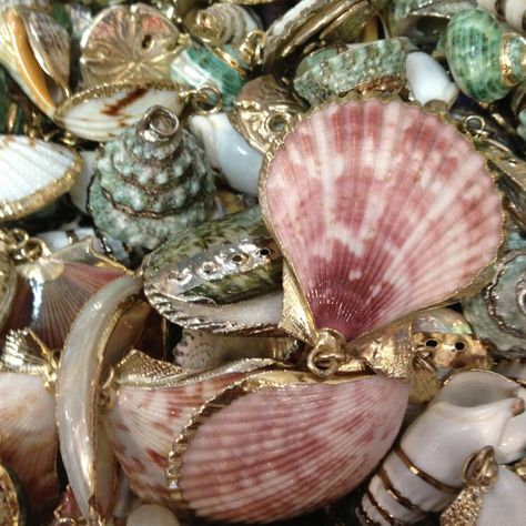 Shells gold Gold Summer Aesthetic, Shells Aesthetic, No Ordinary Girl, Beautiful Shells, Image Swag, Mermaid Aesthetic, Summer Dream, Beach Aesthetic, Beach Vibe