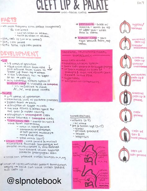 Voice Disorders Speech Therapy, Slp Study Notes, Slp Praxis Study Guide, Speech Language Pathology Aesthetic, Speech Pathology Aesthetic, Slp Praxis, Speech Sound Development Chart, Slp Aesthetic, Speech Language Pathology Grad School