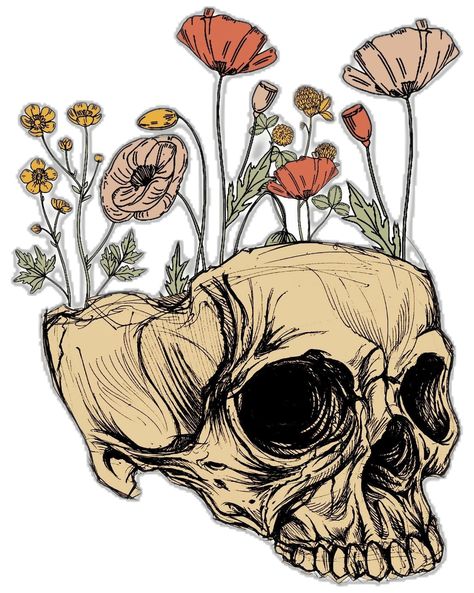 Skull Floral Art, Skull With Flowers Growing Out Of It, Flower Skull Drawing, Skull Art With Flowers, Skull With Plants, Open Skull, Skulls With Flowers, Gothic Png, Poppy Flower Art