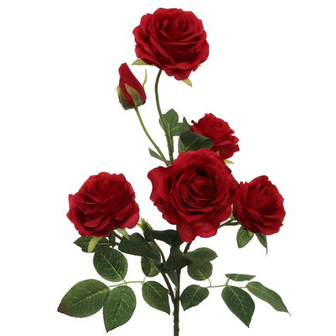 Add a touch of passion with our Passionate 27" Rose Spray Set. These stunning red roses are perfect for weddings, home styling, and celebrations. Rose Spray, Flower Spray, Home Styling, Crimson Red, Artificial Roses, Silk Roses, Spring Blooms, Lush Green, Artificial Plants