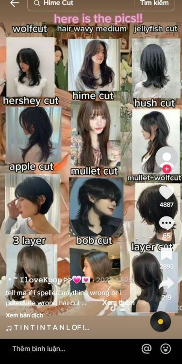 Names Of Short Haircuts For Women, Names Of Haircuts For Women, Different Kinds Of Haircuts For Women, Types Of Hair Cuts Women, Haïr Cut Name For Women, Hairstyle Names For Women, Hair Cut Ideas 2024 Medium Hair, Haircut With Names, Hush Cut Wavy Hair