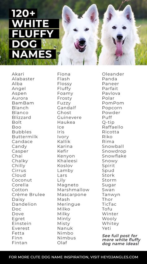 120+ White Fluffy Dog Names - dog name ideas, white dog breeds, puppy names, white dog names, fluffy dog names #dognames #fluffy White Dog Names, Dog Symbolism, Rare Dog Names, Girl Dog Names Unique, Cute Dog Names, Cute Animal Names, White Fluffy Dog, Fluffy Dog Breeds, Names Dog