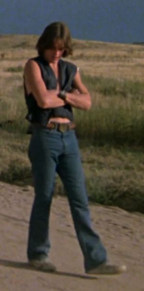 Matt Dillon as Richie in Over the Edge (1979) Young Matt Dillon, Guys My Age, 80s Actors, Dallas Winston, The Outsiders 1983, Brown Hair Men, 80s Men, Matt Dillon, Ralph Macchio