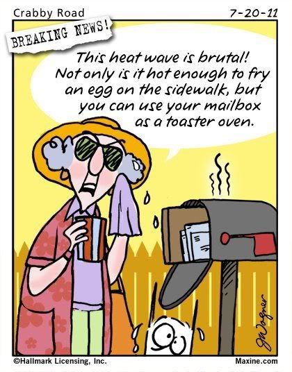 Maxine-This heat wave is brutal! Not only is it hot enough to fry an egg on the sidewalk,but you can use your mailbox as a toaster oven. Hot Weather Humor, Senior Humor, Weather Quotes, She Quotes, Funny Love, It's Hot, Funny Cartoons, Hot Weather, Bones Funny