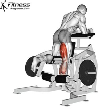 Calf Press, Chest Workout Routine, Leg Workouts Gym, Calf Machine, Hamstring Curls, Gym Workouts For Men, Gym Gifts, Gym Machines, Abs Workout Gym