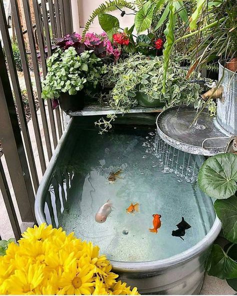 diy-stock-tank-pond-for-indoor Indoor Pond, Fish Pond Gardens, Goldfish Pond, Indoor Water Garden, Diy Pond, Pond Ideas, Aquarium Design, Pond Design, Have Inspiration