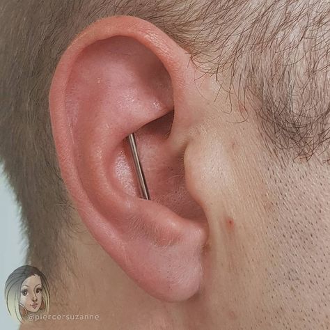 Vertical Conch Piercing, Conch Industrial Piercing, Industrial Piercing Vertical, Styling Ear Piercings, Vertical Industrial Piercing, Vertical Industrial, Eat Tattoo, All Ear Piercings, Ear Styling