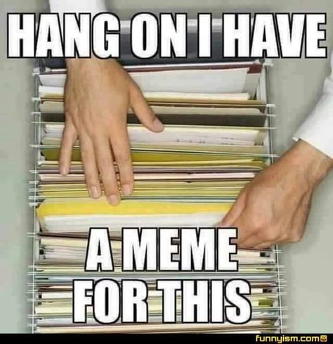 A Meme, Hang On, File Cabinet, The Words, Memes, Funny