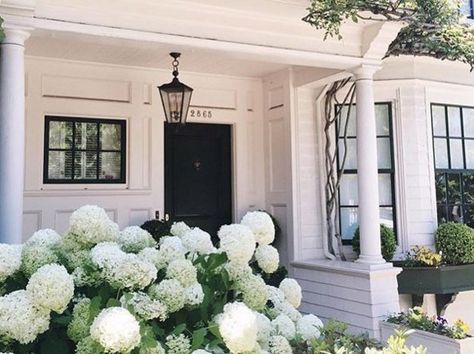 TOWN&COUNTRY on Twitter: "Match your hydrangeas to your house: https://t.co/z3bEOczHNP https://t.co/teKH8fGg3o" Hydrangea Landscaping, Hydrangea Garden, Modern Farmhouse Exterior, Farmhouse Exterior, Climbing Roses, White Gardens, Front Garden, Design Layout, Dream Garden