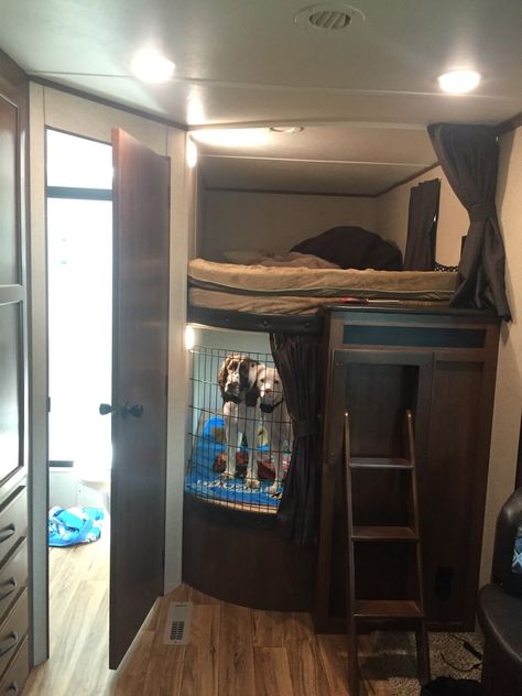 Camper Living With Pets, Pet Friendly Camper Ideas, Dog In Camper Ideas, Motorhome With Dogs, Rv Dog Bed Ideas, Dogs In Camper, Rv Life With Dogs, Dog Friendly Rv Remodel, Rv Bunk Storage Ideas