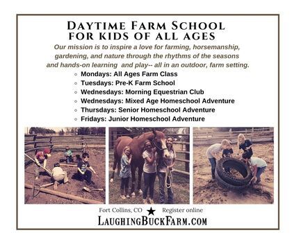 Farm School - Laughing Buck Farm Farm Events Ideas, School Farm, Starting A Farm, Produce Stand, Farm Preschool, Farm School, Farm Business, School Vacation, Farm Ideas