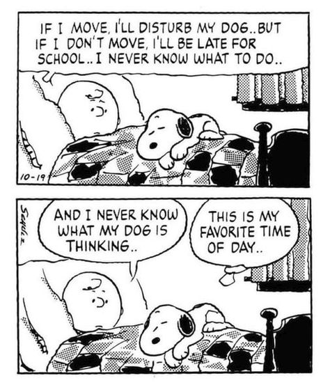 Wag The Dog, Late For School, Snoopy Comics, Peanuts Comic Strip, Charles Schulz, Snoopy Images, Online Comics, Snoopy Quotes, Snoopy Pictures