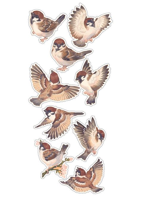 Bird Drawing Ideas, Sparrow Illustration, Sparrow Watercolor, Bird Drawing Easy, Watercolor Birds Tutorial, Drawing Easy Pencil, Simple Bird Drawing, Shading Pencil, Sparrow Drawing