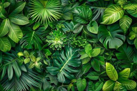 Rainforest Foliage, Rainforest Leaves, Green Leaves Background, Dutch Wax Print, Rainforest Plants, Green Leaf Background, Tropical Garden Design, Leaves Background, Tropical Green