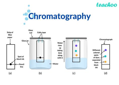 Hplc Chromatography, Chromatography Experiment, Separating Mixtures, Paper Chromatography, Basic Chemistry, Organic Chemistry Study, Gas Chromatography, Branches Of Science, Coding Tutorials