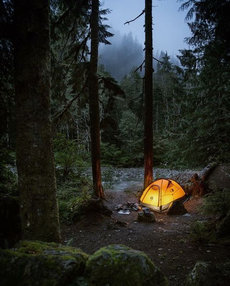 Campfire Meal, Tenda Camping, Camping Sauvage, Camping Snacks, Camping Inspiration, Retro Camping, Camping Photography, Camping Aesthetic, Festival Camping