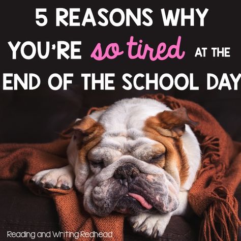 We all know that teachers go home exhausted every day and it is probably is just "the way it is" for all of us. At the end of last year, ... Exhausted Teacher Humor, Teacher Exhaustion, Exhausted Teacher, Teaching Hacks, Tired Funny, Teacher Burnout, Teacher Tired, Math Teacher Humor, Teaching Quotes