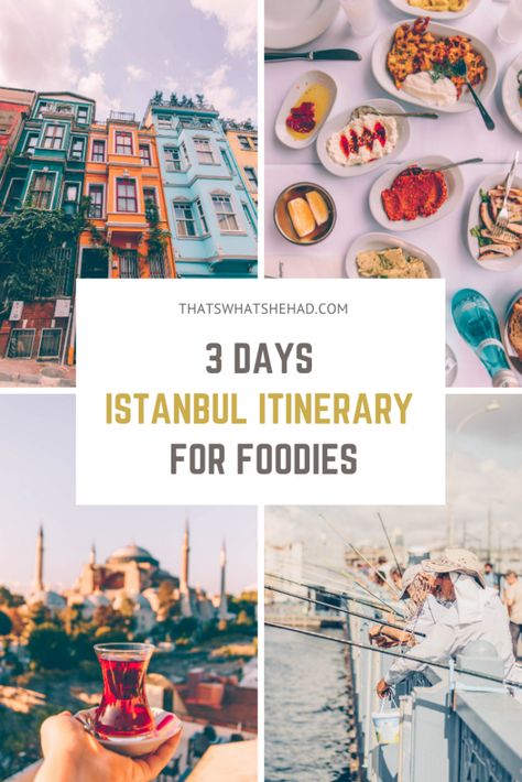 How to spend 3 days in Istanbul if you want to see the best sights and try the most delicious foods! This Istanbul guide is perfect to explore the most popular attractions like Galata Tower and bridge, Blue Mosque, Hagia Sofia, Balat neighborhood, as well as try some of the most famous Turkish foods along the way! #TurkishFood #TurkishBreakfast #IstanbulGuide #IstanbulTravel #IstanbulFood Turkey Itinerary, Istanbul Guide, Hagia Sofia, Turkey Travel Guide, Turkish Breakfast, Visit Turkey, Istanbul Travel, Blue Mosque, Visit Europe