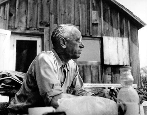 Aldo Leopold Quotes, Aldo Leopold, Soil Conservation, Human Ecology, Conservation Biology, Environmental Movement, University Professor, Green Fire, Civil Liberties