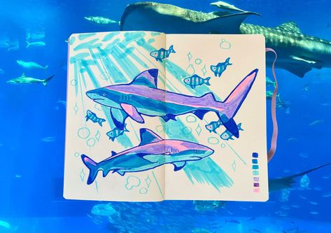 Shark sketchbook doodles and pictures from Okinawa Churaumi Aquarium 🩵🦈 Visiting the aquarium in Japan is one of the things I remember most vividly from my three month trip there. So beautiful ✨ Sketched these blacktip reef sharks with my new brush pens my aunt gifted me for my birthday. The fluorescent is one of my favorites! 🩷 • • • • • #art #sketch #sketchbook #shark #sharkart #drawing #brushpen #colorfulart #artist #fishart #oceanart Shark Sketchbook Page, Blacktip Reef Shark Drawing, Aquarium Sketch, Aquarium Drawing, Blacktip Reef Shark, Churaumi Aquarium, Sketchbook Doodles, Shark Drawing, Shark Art