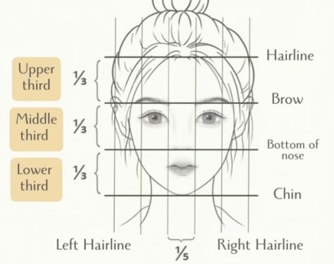 Face Proportions, The Golden Ratio, Golden Ratio, Anatomy Reference, Sumi E, The Golden, Makeup Looks, On Twitter, Makeup