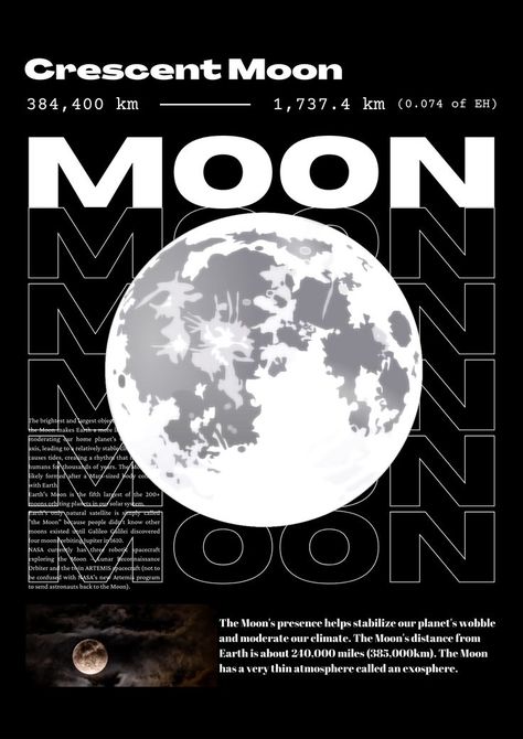 Moon Graphic Design, Graphic Shirt Design, T Shirt Logo Design, Moon Graphic, Shirt Logo Design, Vintage Poster Design, Tshirt Printing Design, Shirt Design Inspiration, Graphic Tshirt Design