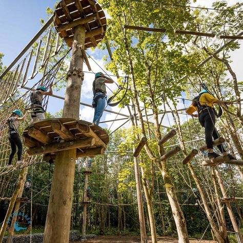 High Ropes Course, Challenge Course, River Retreat, Go Ape, Ropes Course, Williamsburg Virginia, Zip Line, Busch Gardens, Colonial Williamsburg