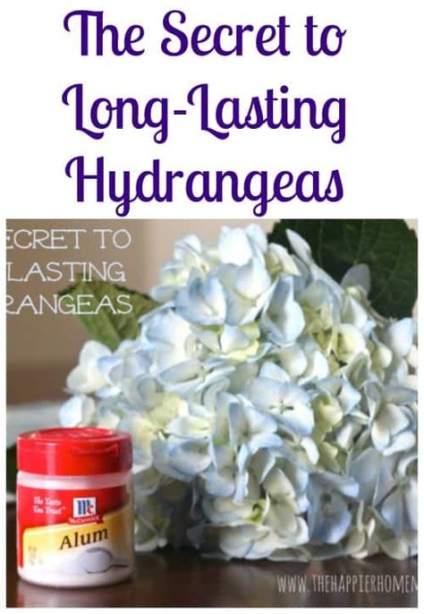 How to keep cut hydrangeas from wilting-the simple florist's trick that can prevent and reverse wilting in hydrangea bouquets! Hydrangea Care, Growing Hydrangeas, Hydrangea Bouquet, Hydrangea Garden, Planting Hydrangeas, Diy Outdoor Decor, Have Inspiration, Garden Yard Ideas, Garden Bar