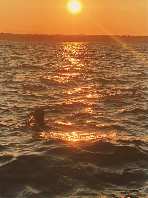 sunset 
swimming 
ocean
mermaid Outside Sunset, Fashion Thrift, Ocean Swimming, Travel Island, Calm Meditation, Ocean Mermaid, Island Sunset, Mermaid Vibes, Mermaid Aesthetic