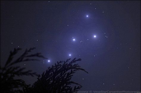 VegaStar Carpentier took this image of the constellation Cassiopeia from Reims, Champagne-Ardenne, France on Oct. 22, 2012. Carpentier used ... Space Knowledge, Cassiopeia Constellation, Macbook Background, Constellation Tattoo, Queen Of The Night, Queen Tattoo, Constellation Tattoos, Minimalist Artwork, Galaxies Stars