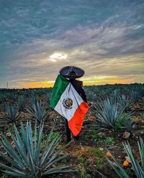 Mexican Flag, Flag