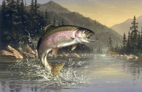 More recent DNA studies showed rainbow trout are genetically closer to Pacific salmon (Onchorhynchus species) than to brown trout (Salmo trutta) and ... Lake Trout Fishing, Trout Painting, Trout Art, Largemouth Bass Fishing, Fly Fishing Art, Fish Artwork, Fishing Pictures, Fish Wallpaper, Brown Trout