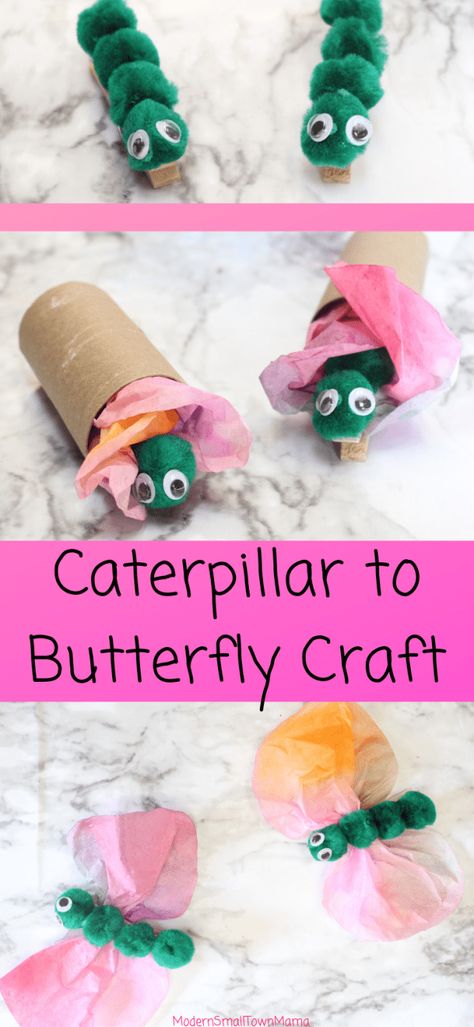 Caterpillars to Butterflies Craft #preschool #craft #butterflies Craft Butterflies, Butterfly Crafts Preschool, Caterpillar To Butterfly, Butterfly Caterpillar, Bugs Preschool, Craft Preschool, Caterpillar Craft, Insect Crafts, Butterfly Craft