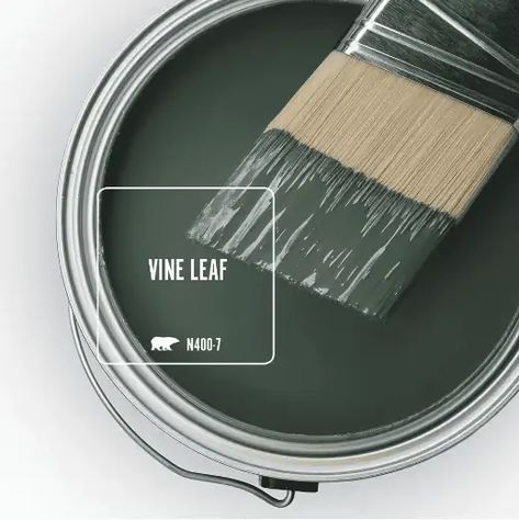 Going green? If you are looking for the best green paint colors for your home, you will love these options by BEHR Paint. These shades run the gamut from soft and tranquil to bright and bold! Behr Hostaleaf, Green Paint Magnolia Home, Behr Paint Colors Greens, Best Boho Green Paint Colors, Vine Leaf Behr Paint Bedroom, Behr Earthy Green Paint Colors, Behr Cottage Colors, Master Bedrooms Behr Paint, Dark Green Paint Behr